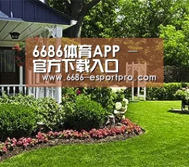 6686体育APP - 官方下载入口