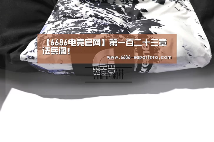 【6686电竞官网】第一百二十三章 法兵阁!(图4) 6686电竞
