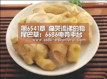 第6541章 痛哭流涕的狗尾巴草:6686电竞平台(图2) 6686电竞官网