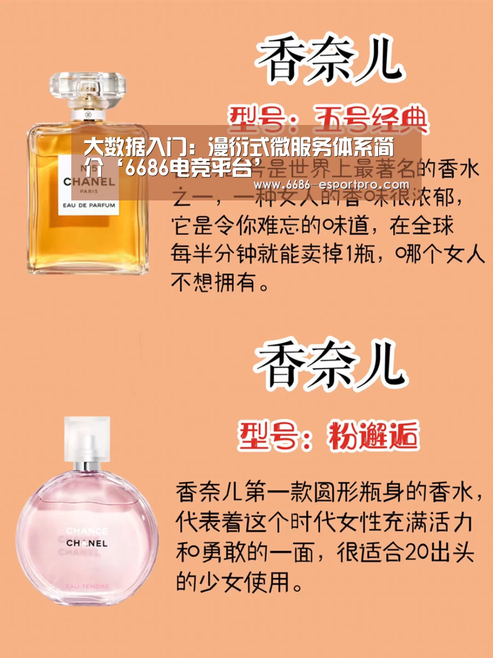 6686官方网站