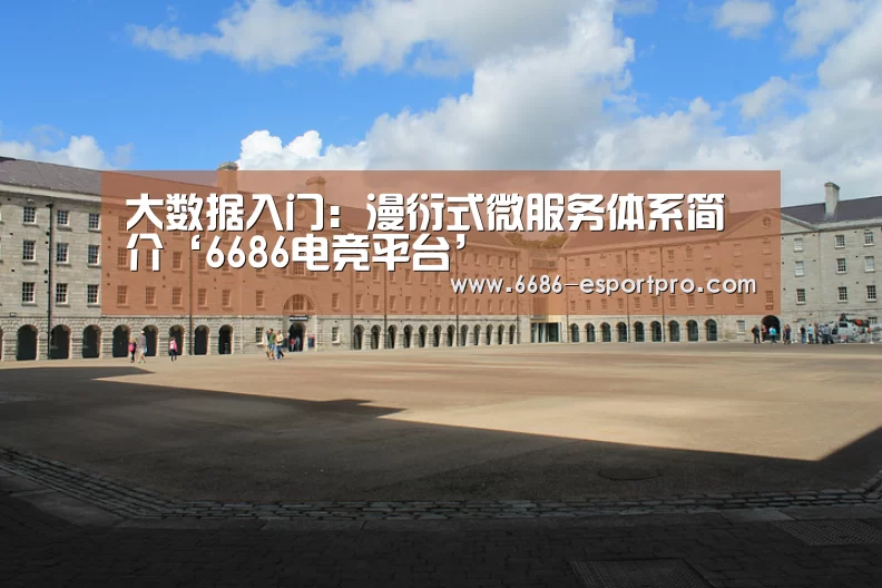 6686官方网站