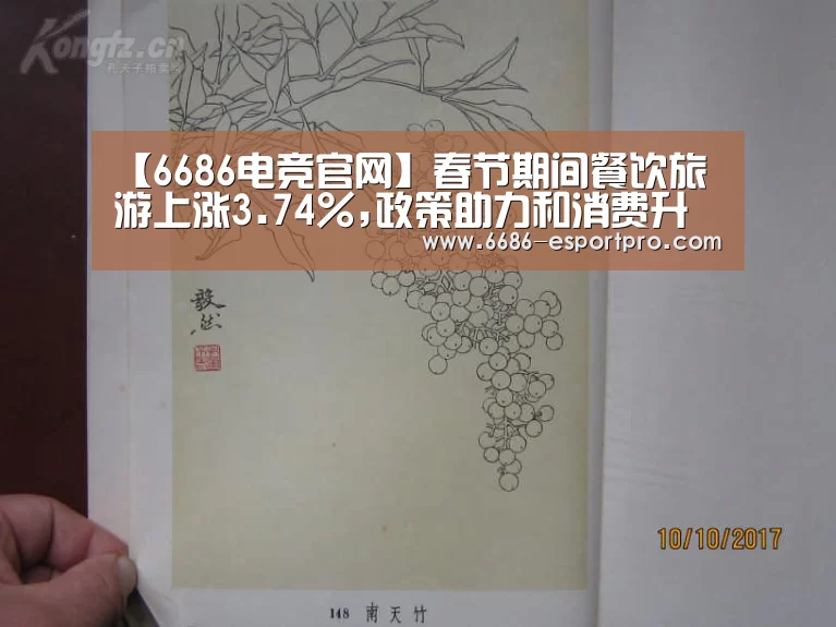 【6686电竞官网】春节期间餐饮旅游上涨3.74%,政策助力和消费升级背景下空间广阔(图3) 6686电竞平台