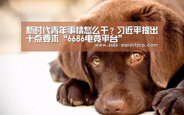 新时代青年事情怎么干?习近平提出十点要求“6686电竞平台”(图2) 6686电竞平台